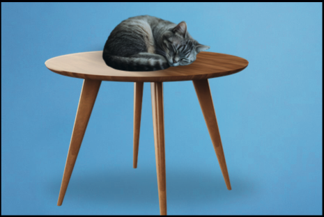 Il gatto dorme sopra al tavolo