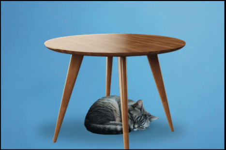 Il gatto dorme sotto al tavolo