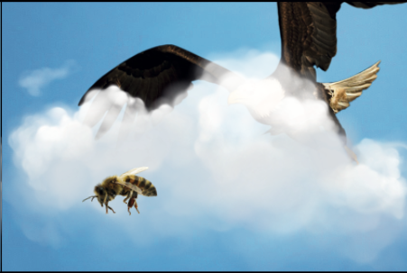 L'aquila insegue l'ape dietro alla nuvola