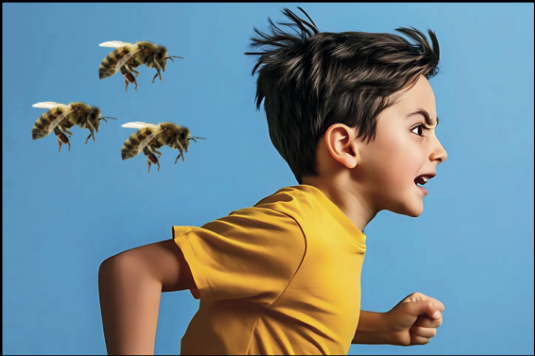 Le api inseguono il bambino